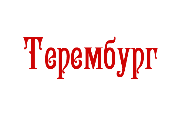 Логотип компании Терембург