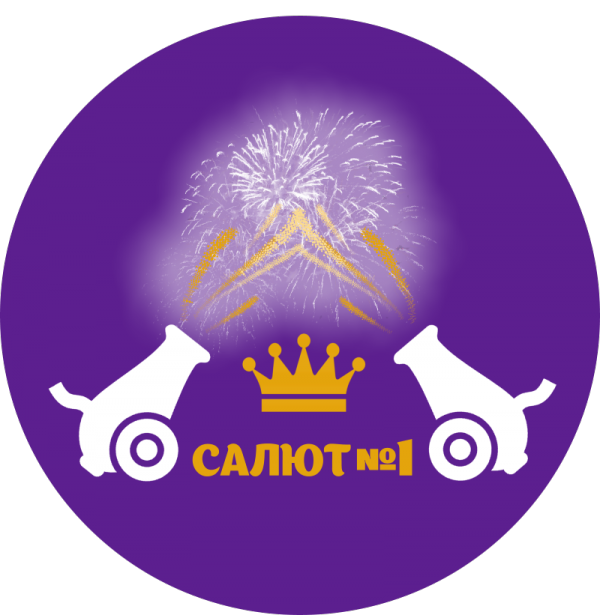 Логотип компании Салют №1-магазины красивых фейерверков