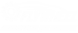Логотип компании Flywheel autoparts
