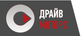 Логотип компании Драйв Моторс