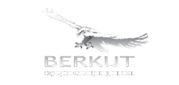 Логотип компании Беркут