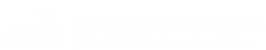 Логотип компании MAGIC SYSTEMS