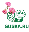Логотип компании Guska.ru