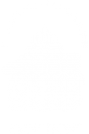 Логотип компании Кинг Понг