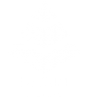 Логотип компании FACTUM