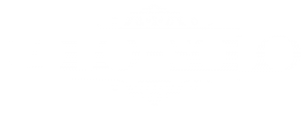 Логотип компании SOLO-SOLO