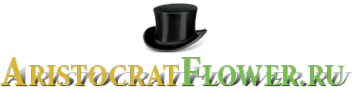 Логотип компании AristocratFlower
