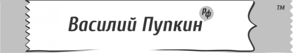 Логотип компании ВасилийПупкин.рф