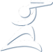 Логотип компании Царскосельский