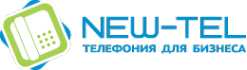 Логотип компании Нью-Тел