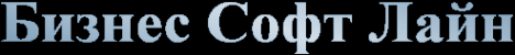 Логотип компании Бизнес Софт Лайн