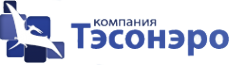 Логотип компании Тэсонэро