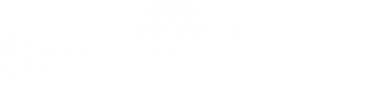 Логотип компании Сеотайм