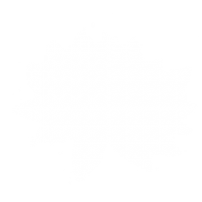 Логотип компании Сияние Лотоса