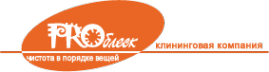 Логотип компании Проблеск