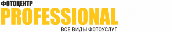 Логотип компании PROFESSIONAL