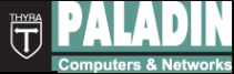Логотип компании Паладин Инновации