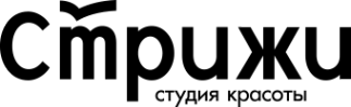 Логотип компании Стрижи