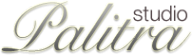 Логотип компании Palitra Studio