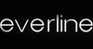 Логотип компании Everline Center