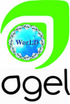 Логотип компании Agel Enterprises