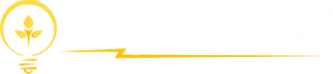 Логотип компании Философия Света
