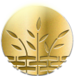 Логотип компании Золотая Ива
