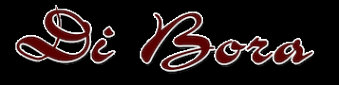 Логотип компании Di Bora