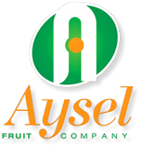 Логотип компании Айсель