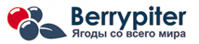 Логотип компании BerryPiter