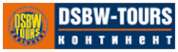 Логотип компании DSBW St-Peterburg