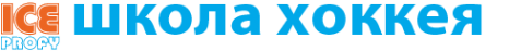 Логотип компании IСE-Profy