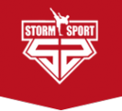 Логотип компании Storm