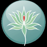 Логотип компании Shanti