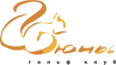 Логотип компании Дюны
