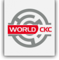 Логотип компании World СКС