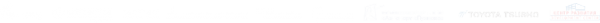 Логотип компании Пулково Скай