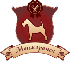 Логотип компании Монморанси