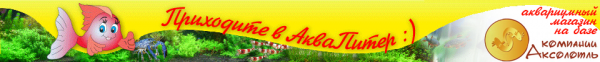 Логотип компании АкваПитер