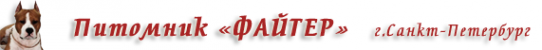 Логотип компании Faiter