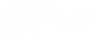 Логотип компании Синертэк