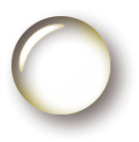Логотип компании ПитерОценка