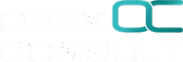 Логотип компании OpexConsult