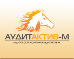 Логотип компании АудитАктив-М