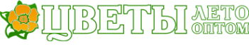Летооптом
