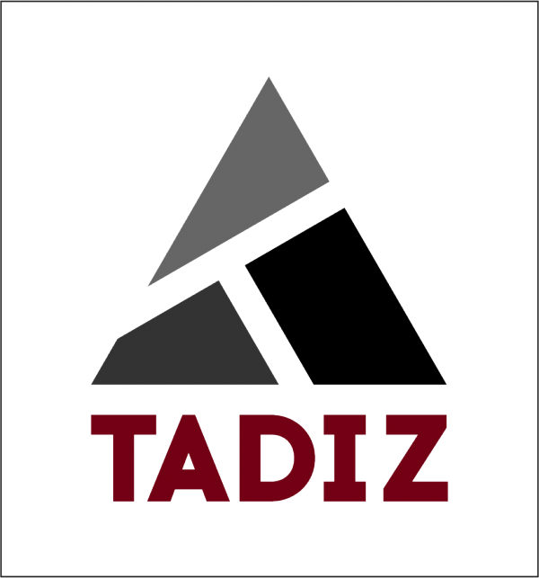 Логотип компании Студия дизайна TADIZ