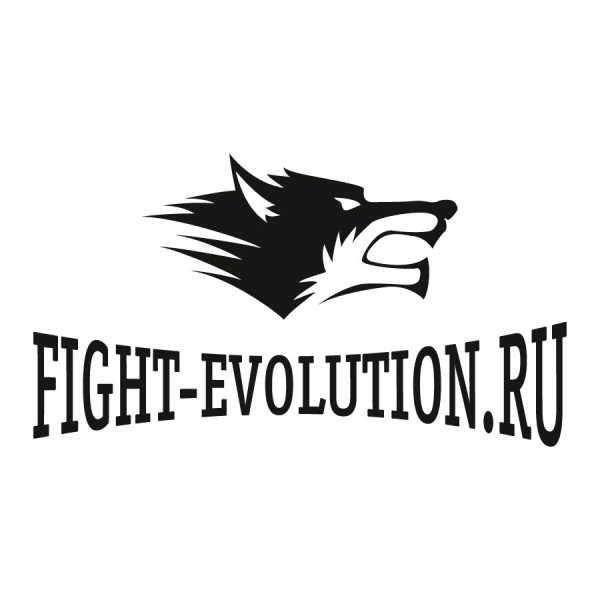 Логотип компании Fight-Evolution