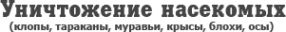 Логотип компании Стоп-Инсект