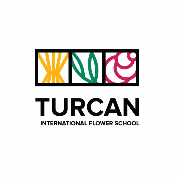 Логотип компании Turcan School