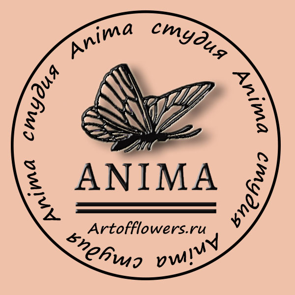 Логотип компании Студия подарков и декора Анима